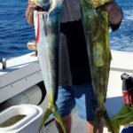 Mahi Mahi